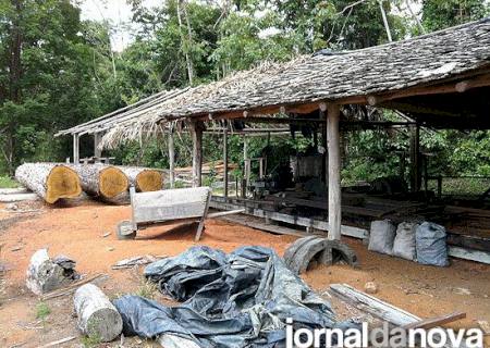 Índios ''alugam'' terras para exploração ilegal de madeira