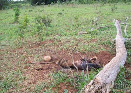 Desaparecido é encontrado morto em Casa Verde