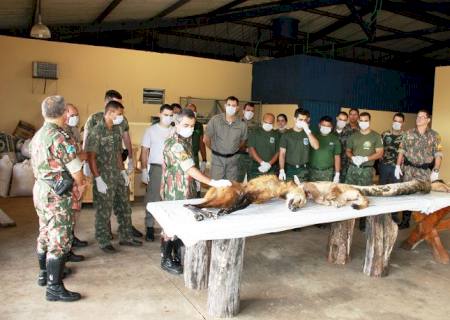 PMA realiza curso de taxidermia e Educação Ambiental