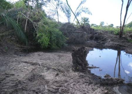 PMA prende e autua sitiante por destruir mata ciliar de córrego