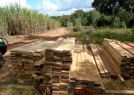 Polícia Ambiental fecha serraria ilegal