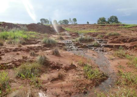 PMA autua Usina por destruir mata ciliares e nascentes de córrego