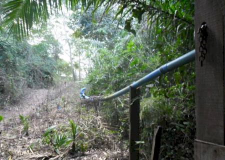 PMA autua fazendeiro por destruir mata ciliar em atividade de piscicultura