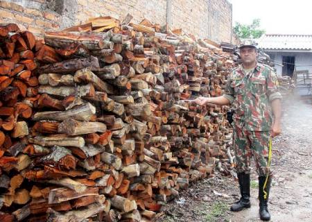 PMA autua fazendeiro por armazenamento ilegal de madeira protegida