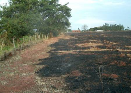 PMA autua dono de chácara em R$ 9 mil por provocar incêndio