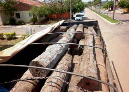 PMA apreende carga ilegal de madeira