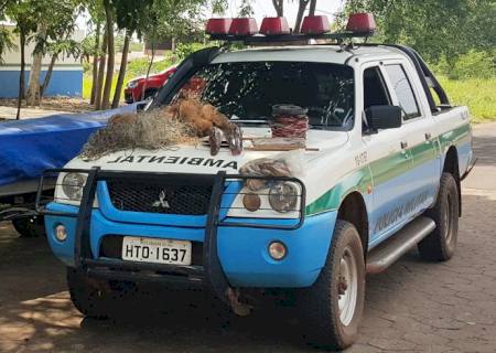 PMA prende pescador e por pesca predatória