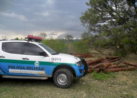 PMA apreende caminhão com carga de madeira ilegal