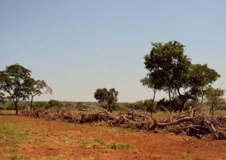 Polícia Ambiental autua pecuarista por desmatamento ilegal