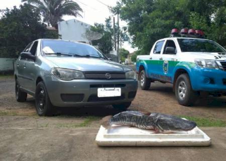 PMA prende infrator transportando pescado capturado em piracema