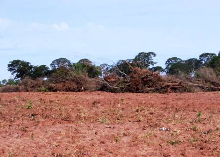 PMA autua fazendeiro por destruir matas ciliares de córrego