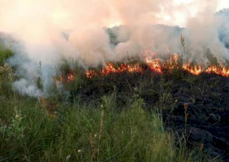 PMA autua arrendatário de fazenda por incendiar mata ciliar de nascentes