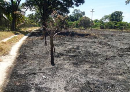 PMA autua dono de rancho por incêndio