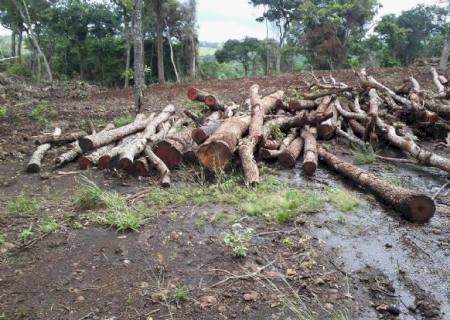 PMA autua fazendeiro por desmatamento de 56 hectares