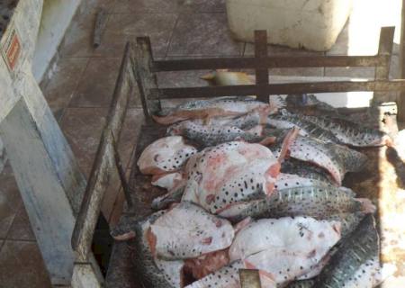 PMA prende dois pescadores com 140 kg de pescado ilegal