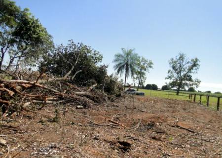 Quatro assentados são autuados por desmatamento ilegal