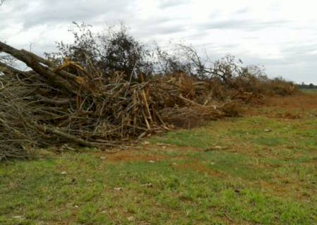 Assentado é multado por desmatamento e incêndio ilegais