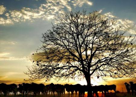 Turismo sul-mato-grossense marca presença na Feira Agropecuária do Pantanal