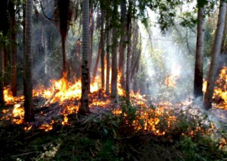 Incêndio no Parque das Várzeas do Rio Ivinhema já atingiu 18 mil hectares