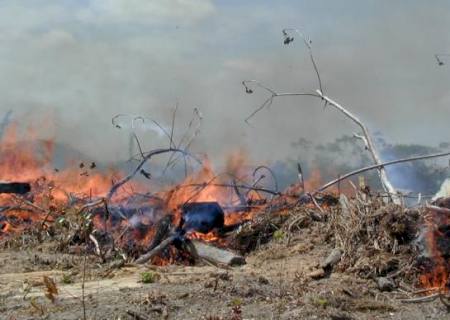 Pesquisadores comprovam que fumaça das queimadas da Amazônia pode causar câncer