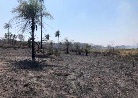 Corpo de Bombeiros de Nova Andradina combate incêndio florestal em Taquarussu