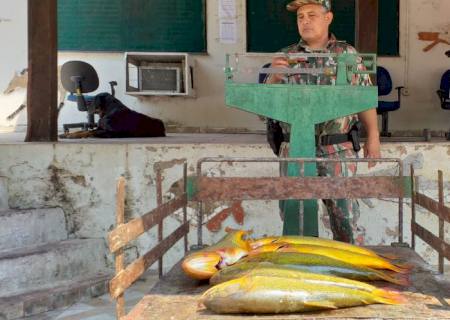 Pescador é autuado por pesca do peixe dourado, espécie protegida em MS