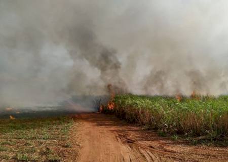 Incêndio devasta 130 hectares de cana em Batayporã