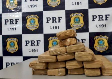 Passageiro de ônibus é flagrado com 12 kg de maconha na BR-262