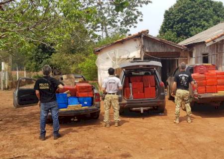 PF apreende 1,9 ton de maconha em assentamento de Itaquiraí