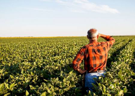 Produtores rurais poderão refinanciar dívidas com juros de 8% ao ano