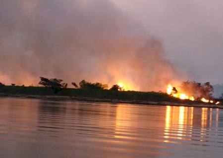 Aeronave auxilia bombeiros no combate a novos incêndios no Pantanal de MS