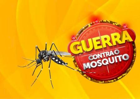 MS lança nesta segunda-feira campanha de enfrentamento de doenças transmitidas pelo Aedes aegypti