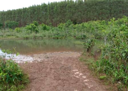 PMA multa dois criadores em R$ 30 mil por manutenção de gado em área protegida por Lei