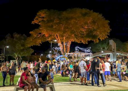 Magia do Natal: Luzes e enfeites natalinos despertam a atenção das crianças