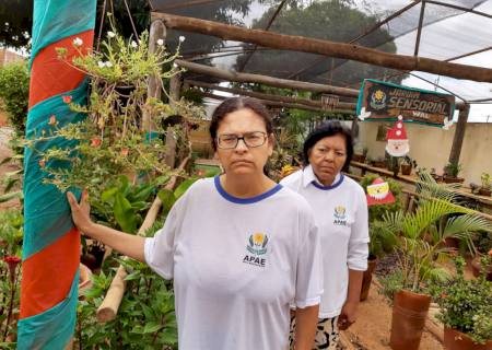 Jardim Sensorial da APAE de Nova Andradina ganha enfeites de Natal