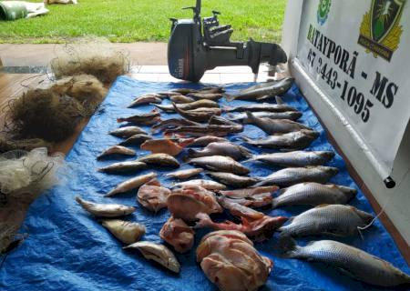 Polícia Ambiental de Batayporã prende e autua ribeirinho por capturar pescado acima da cota