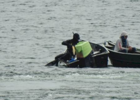 PMA e Ibama prendem paulista por pesca com arpão durante a piracema e em local proibido