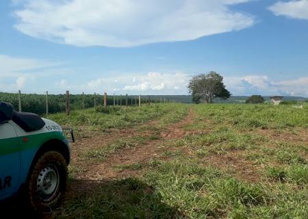 Polícia Ambiental aplica multa de R$ 184 mil por desmatamento ilegal