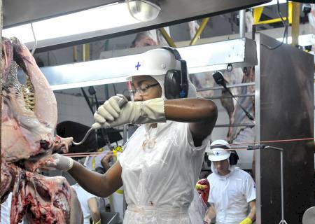 Celulose e carnes alavancam exportação da indústria de Mato Grosso do Sul em 2019