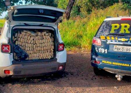 Motorista tenta fugir com 1,1 ton de maconha, mas é preso pela PRF em Campo Grande