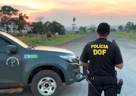 DOF recaptura preso que fugiu da Penitenciária Regional de Pedro Juan