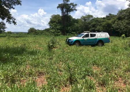 Polícia Ambiental autua empresário por desmatamento ilegal