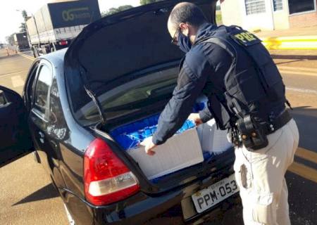 PRF em Rio Brilhante apreende maconha que seguia para o Espírito Santo