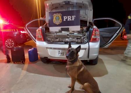 PRF e PM apreendem carro roubado e carregado com 510 kg de maconha