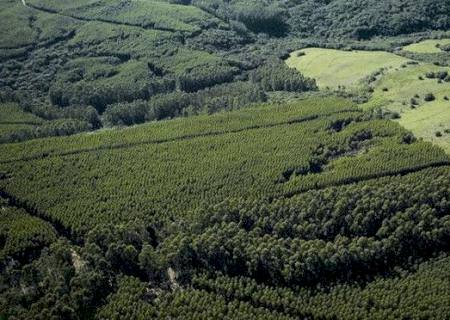 Mais moderno e ágil, começa a funcionar nesta terça o novo sistema de Licenciamento Ambiental do MS