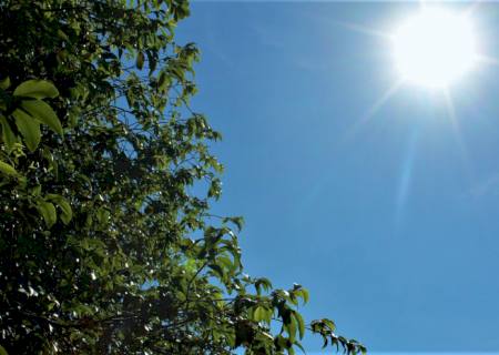 Quinta-feira de tempo parcialmente nublado e calor perto dos 40°C