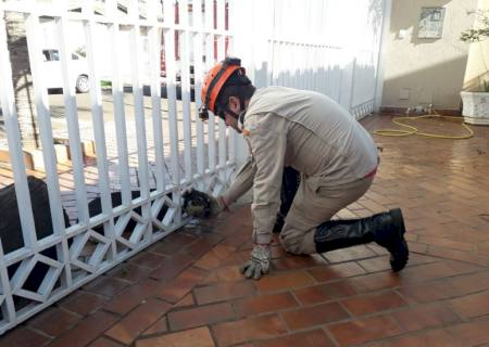 Cachorro passa a noite preso em grade e acaba resgatado pelo Corpo de Bombeiros sem ferimentos