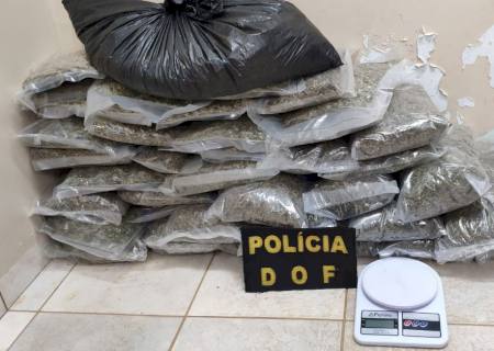 DOF intercepta carregamento de skunk que seguia para Campo Grande