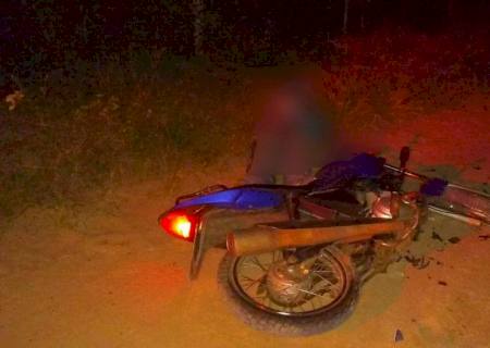 Motociclista colide com boi e acaba morrendo em Três Lagoas