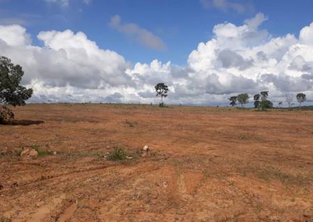 Fazendeiro recebe multa de R$ 142 mil por desmatamento ilegal